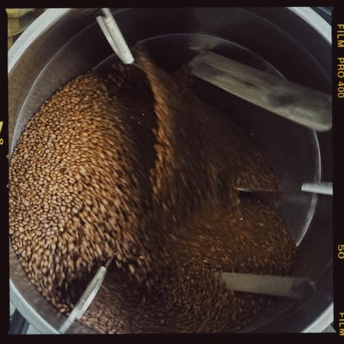 Image of Bili Hu Coffee Beans Balur Robusta, Medium Roast, (Pack of 1, 250 gms)