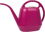 Indoor/Outdoor Watering Can, 4L Plastic, Turquoise, Ideal for House Plants, Succulents, Bonsai, and Garden Flowers