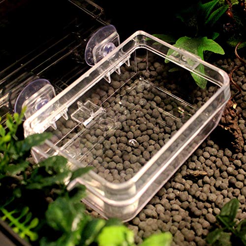 Reptile Basin, ABS Bait Basin Reptile Food Bowl, Worm Feeding Basin Transparente para colocar larvas