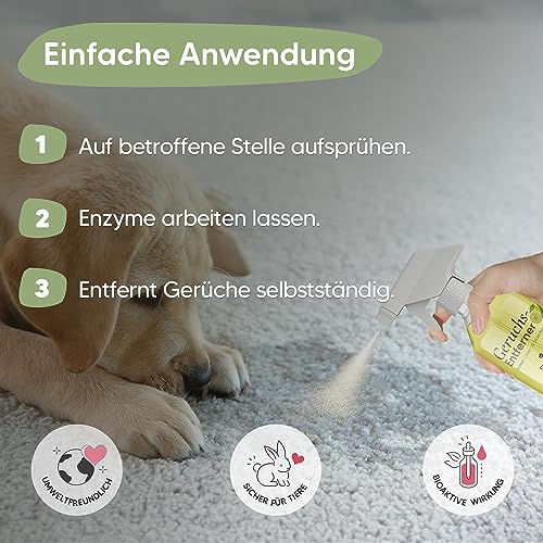 Pawlie's Tier-Geruchsneutralisierer (EXTREM STARK) & Enzymreiniger Katzenurin Geruchsentferner & Hundeurin neutralisieren | Strenge Gerüche & Flecken aus Teppich, Sofa entfernen (500 ml)