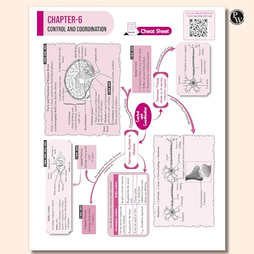 Image of PW CBSE Class 10 Sample Papers 2026 | Science, Maths, English, Social Science | 4-Book Combo | SQP