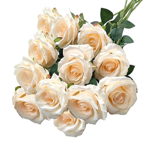 RXKFIGX 12 Stücke Künstliche Rosen Champagnerfarbe Rosen Künstlich Seidenblumen Rosen 51 * 7cm Künstliche Langer Stiel gefälschte Rosen für Hausgarten Party Hotel Büro Dekor(Champagnerfarbe) RXKFIGX 12 Stücke Künstliche Rosen Champagnerfarbe Rosen Künstlich Seidenblumen Rosen 51 * 7cm Künstliche Langer Stiel gefälschte Rosen für Hausgarten Party Hotel Büro Dekor(Champagnerfarbe)