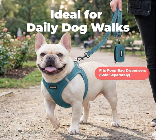 Best Pet Supplies Voyager Reflective Dog Leash or Collar with Neoprene Handle, for Small, Medium, and Large Breed Puppies, Cute and Heavy Duty for Walking, Running and Training - Turquoise (Leash), L by Best Pet Supplies - Image 3