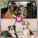 Hundegurt fürs Auto 2-in-1 Kopfstützen-Rückhalte Anschnallgurt Hund Auto Sicherheitsgeschirr Hund mit Einstellbarem Reflektierendem Gummiband für Kleine Mittelgroße Große Hunde