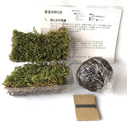 さあ苔玉（こけだま）を作りましょう！【苔玉作成キット】×10キット