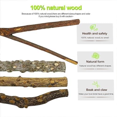 Image of Natural Wood Bird Perch Set, 5 Branch Perches with Mounting Hardware, Parrot Cage Accessories for Claw and Beak Care (Natural, Medium)