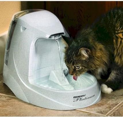 Platinum Pet Fountain4
