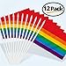 Anley Rainbow Gay Pride Mini Flag 12 Pack - Hand Held Small Miniature LGBT Flags on Stick - Fade Resistant & Vivid Colors - 5x8 Inch with Solid Pole & Spear Top