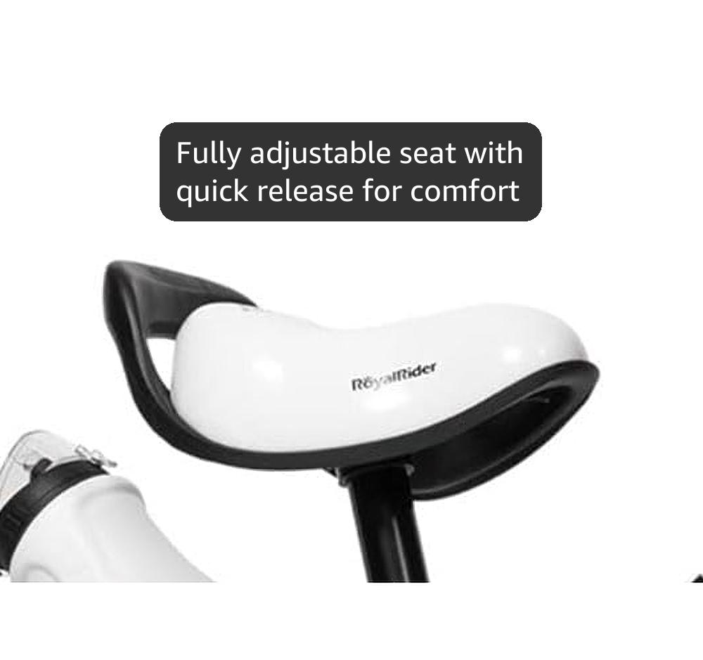 RoyalBaby Kids Bike EZ Balance to Pedal Dual Handbrake Toddlers Boys Girls Bicycle 12-20 Inch for Age 3-10 Years