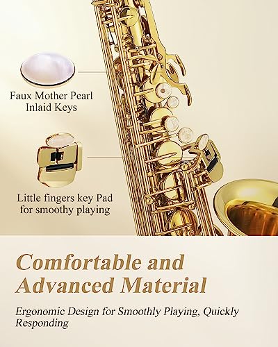 eastar professional alto saxophone golden e flat eb with cleaning kit carrying case mouthpiece neck strap reeds stand as-