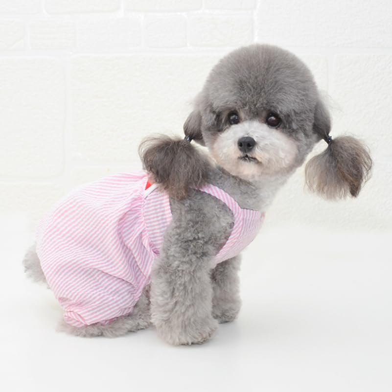 Pantalones disfraz para perro talla M rayas sandía miniatura 5