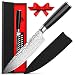 Maxblademark 8 Inch Chef Knife, Pro Kitchen Chef's Knife, German High Carbon Stainless Steel with Ergonomic Handle, Ultra Sharp with Damascus Pattern, Knife Guard and Stylish Package
