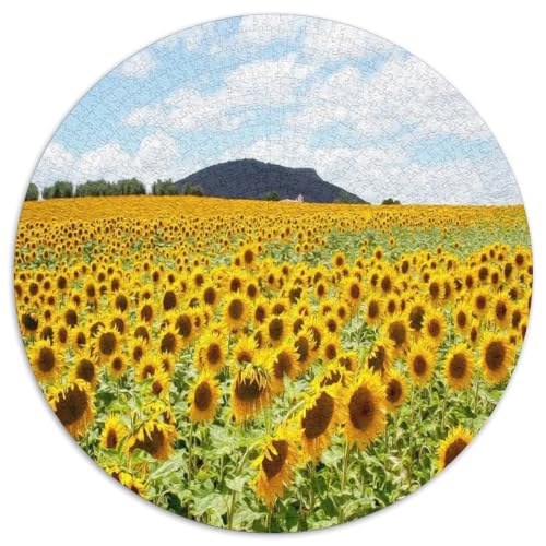 Puzzle de 1000 piezas redondo de papel con paisaje soleado de colección para adultos