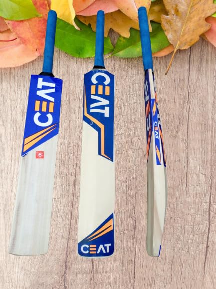ceat Hitter Size 6 Cricket bat Suitable for 8-12 Year Boys & Girls