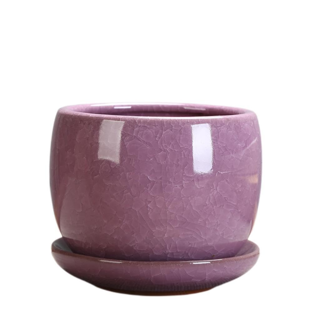 Amazon.co.jp: 植木鉢 陶器鉢 おしゃれ 丸 受け皿付き 鉢 プランター 