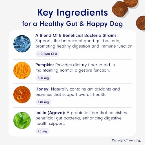 PetLab Co. Probiotics for Dogs - Support Gut Health, Itchy Skin, Seasonal Allergies, and Yeast with Each Tasty Chew - Dog Probiotics - Safe for Small, Medium and Large Dogs - Packaging May Vary - Image 5