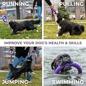 Puller-Outdoor-Dog-Ring-Toys-Dog-Fetch-Toy-Tug-of-War-Dog-Toy-for-Small-Medium-Large-Dogs-Dog-Ball-Soft-Dog-Frisbee-Alt-Outside-Dog-Yard-Toys-Big-Dog-Pull-Toy-Dog-Agility-Jumps-Tool - Cucciolini Doodles   Puller-Outdoor-Dog-Ring-Toys-Dog-Fetch-Toy-Tug-of-War-Dog-Toy-for-Small-Medium-Large-Dogs-Dog-Ball-Soft-Dog-Frisbee-Alt-Outside-Dog-Yard-Toys-Big-Dog-Pull-Toy-Dog-Agility-Jumps-Tool