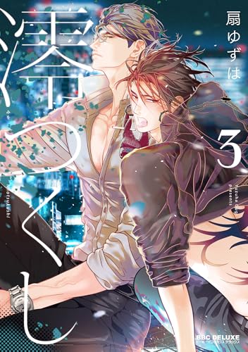 澪つくし (3) (BE×BOY COMICS DELUXE)