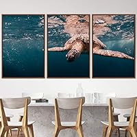 3 Piece Framed Canvas Wall Art Turtle Under The Surface Canvas Prints Home Artwork Decoration for Living Room,Bedroom - 16