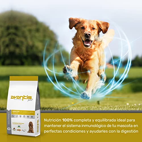 Avantis Pet Gourmet Futter für ausgewachsene Hunde mittlerer und großer Rassen, 15 kg, sehr nährstoffreich mit Lamm und Reis