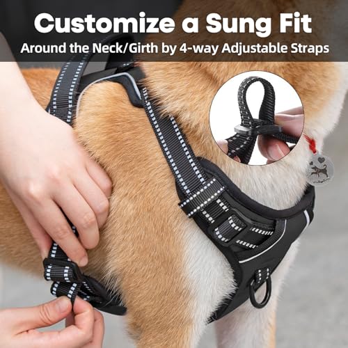 PoyPet No Pull Hundegeschirr, reflektierendes Westengeschirr mit 2 Leinenbefestigungen und einfachem Steuergriff für kleine mittelgroße Hunde (Schwarz, S (1er Pack))