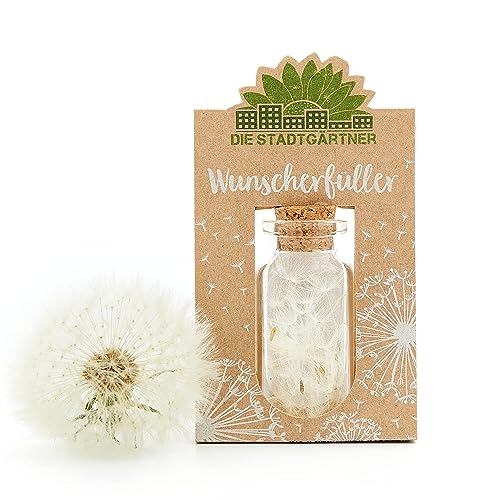 Die Stadtgärtner Wunscherfüller I Kleine Pusteblumen-Schirmchen im Glas zum Verschenken guter Wünsche I Ideal als Geburtstagsgeschenk & Hochzeitsgeschenk I Glücksglas I Handgemacht in Deutschland