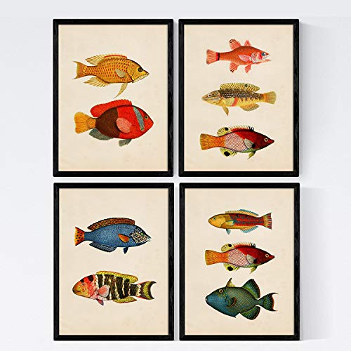 Nacnic Lot de 4 Affiches avec Poisson coloré Effet Vintage. Maldives. Composition de 10 Poissons différents au Format A4, Fond de Papier Ancien Vintage. sans Cadre