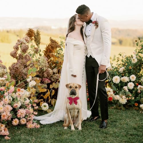 Tie KTWSUEF Hundehalsband Fliege Samtige, Fliege für Hunde, Komfortable Haltbarkeit Halsband Hund, Abnehmbares und verstellbares Fliege Hunde Für Hochzeiten, Geburtstage, Festliche