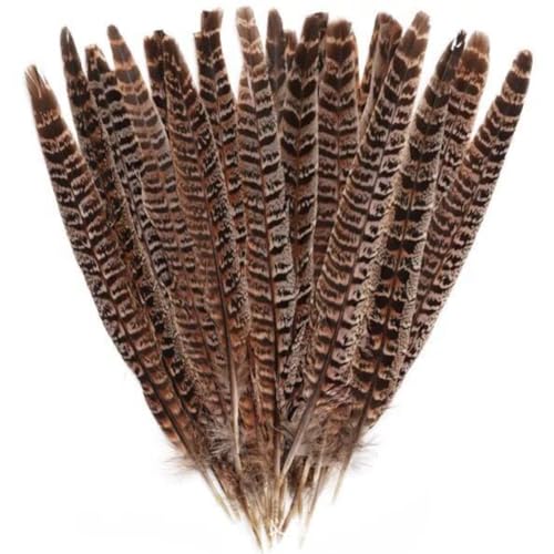 Rockreyoa Lot de 10 plumes de faisan naturelles - Plumes de queue de faisan - Plumes de faisan -...