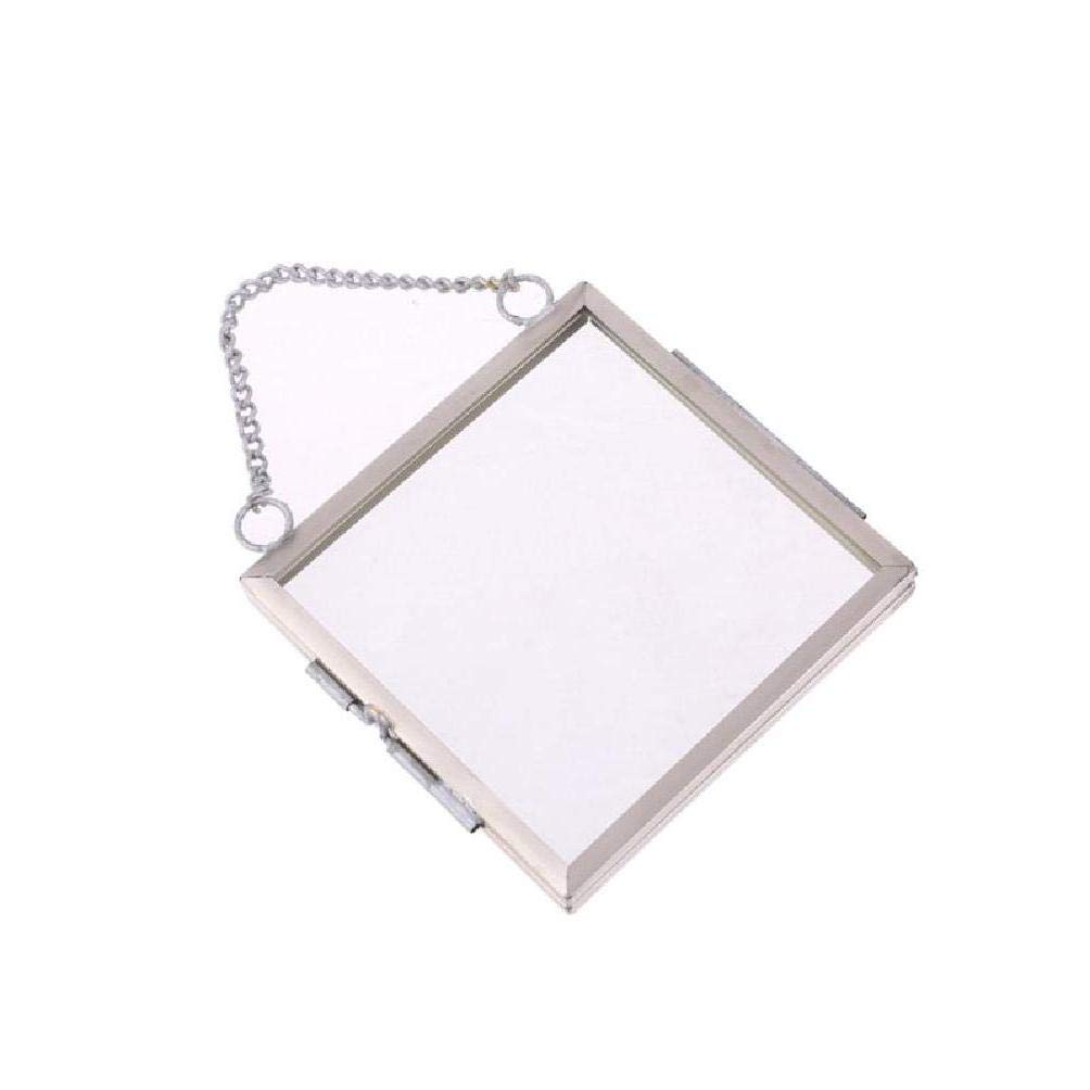 Congchuaty DIY Hanging Glass Metal Photo Picture Frame Flower Plant Specimen Display Decor Home Decoration Photo Frame 8x10,Large