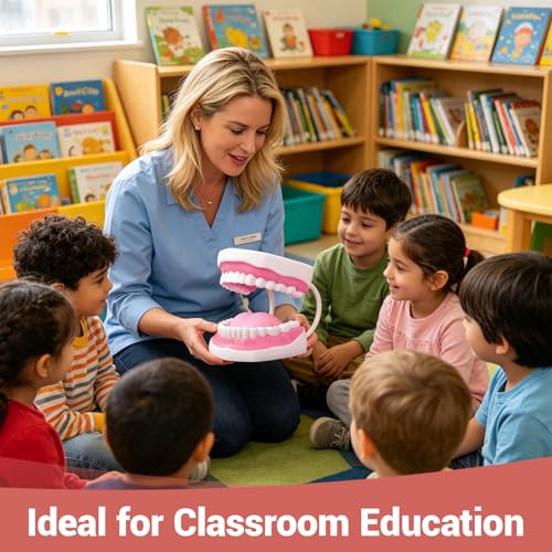 Ultrassist Zahnmodell für die Sprachtherapie, Zähne Modell Lehrmodell für Kinder, Zähne Dental Zubehör für Kinder Zähneputzen lernen