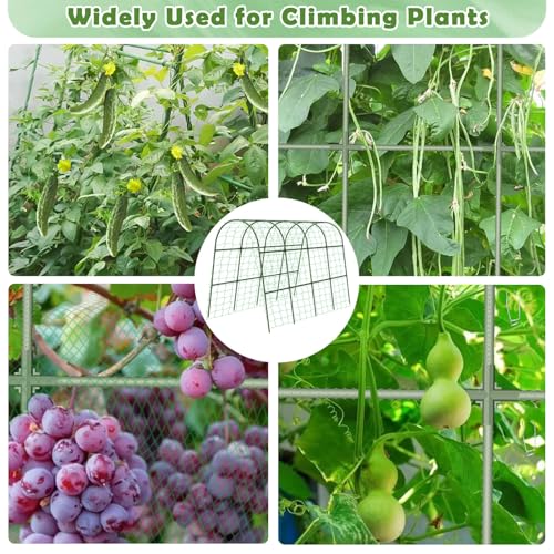 Cucumber Trellis for Raised Bed, Large Size Garden Arch Trellis for Climbing Plants Outdoor, Metal Garden Trellis for Spring Vegetables, Cucumber Trelli for Tomato, Bean, Pea, Grape, Plant by Tetutor - Image 6