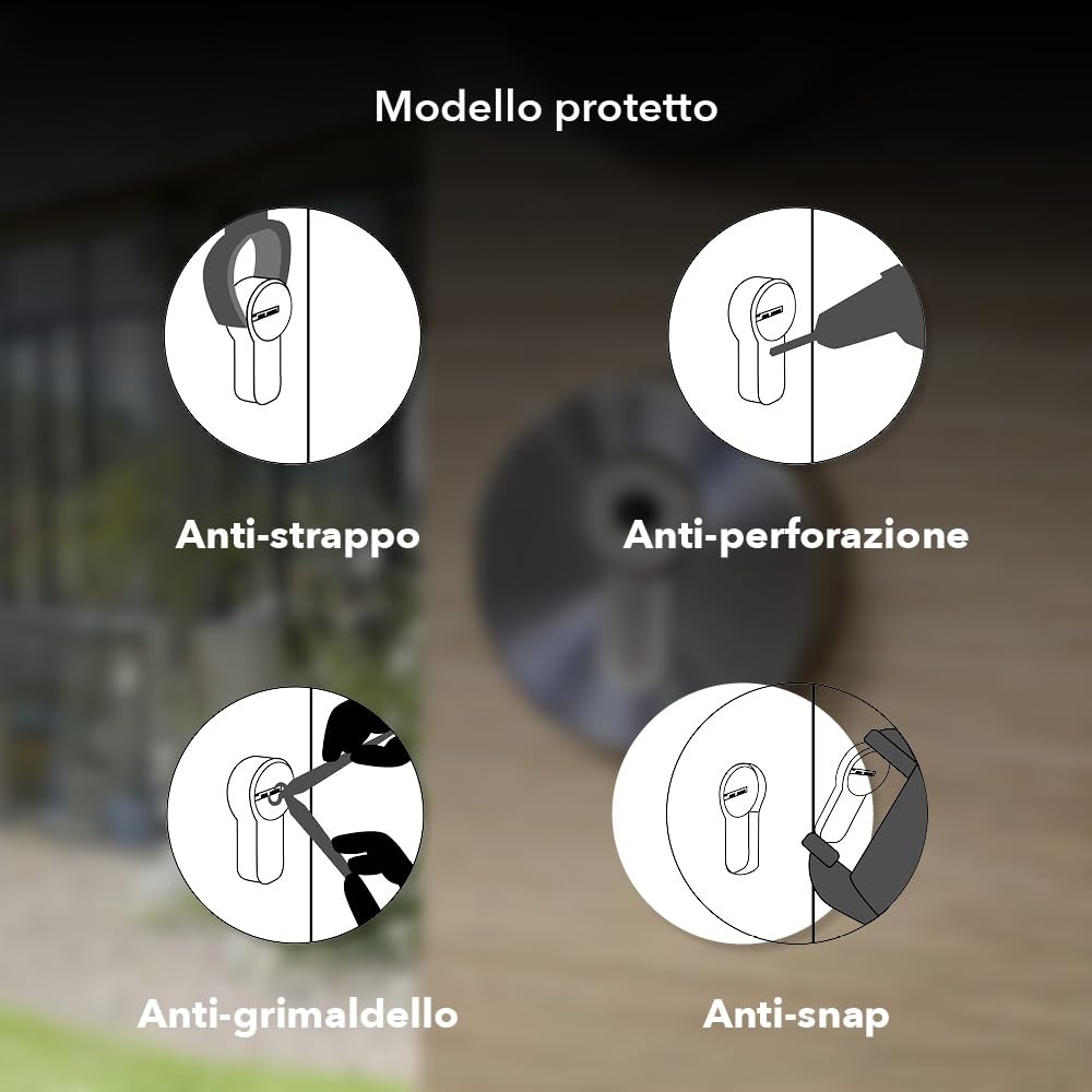 THIRARD - Cilindro Trafic 12 Alta Sicurezza - Set di 2 - Nichel - Ø 30 x 30 mm - 8 Pistoncini - Anti-Strappo, Anti-Perforazione, Anti-Scasso - 10 Chiavi Piatte Reversibili - Grigio