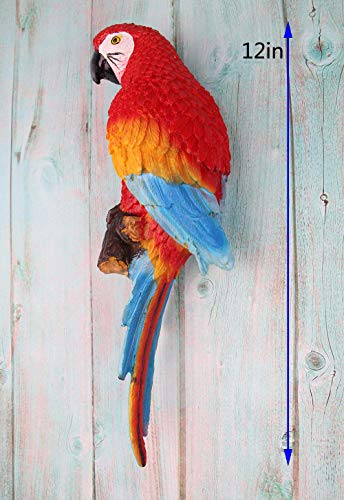 Homerry Ropical Scarlet Macaws Wall Sculpture,Decorative Parrot Garden Statues And Figurines: #TOP3