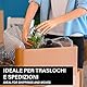 IPEA Luftpolsterfolie für Verpackung und Versand – Rolle 20 Meter x 30 cm – Made in Italy – Pluriball Luftblasen zum Schutz, Polsterung, Verpackung von Gegenständen im Transport – Reißfest