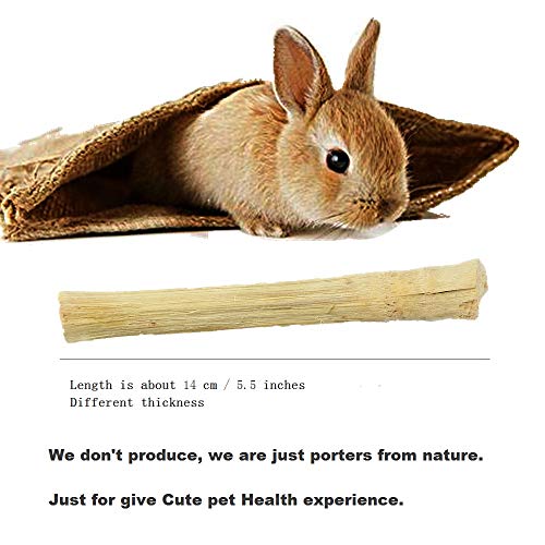 Dbeans Flourithing 300G/10.5Oz Bamboo Sticks For Rabbits - Natural Rabbit Chew Toys For Teeth With Rabbit Treats Included - Durable Rabbit Chew Sticks For Hours Of Fun #TOP2