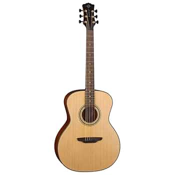 Amazon.com: Luna Art Recorder All Solid Wood Concert