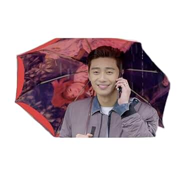 彼女はキレイだった パクソジュン 傘 折り畳み傘 新品 韓国ドラマ グッズ 梅雨 パクソジュン 彼女はキレイだった 傘 折り畳み傘 新品 韓国