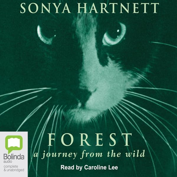 Cover art for Forest
