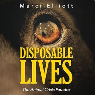 Disposable Lives cover art