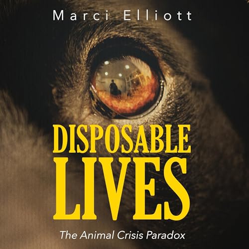 『Disposable Lives』のカバーアート