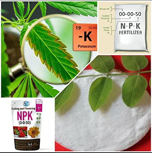 Image of npk 0-0-50 for Fruiting and Flowering for Gardening (0.9 Kg) | Essential Plant Food Growth Hormone