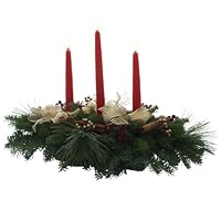 Algopix Similar Product 3 - Worcester Wreath Cinnamon Stick 3