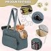 RANJIMA Hundetasche für Kleine Hunde bis 13kg, Hundetasche für Kleine Hunde Katzen Leichte Atmungsaktive Haustiertasche aus Oxford-Stoff Transporttasche für Haustiere für Reisen Outdoor Unterwegs Grau