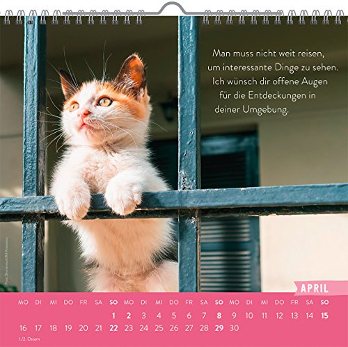 Einfach mal abhängen 2018: Dekorativer