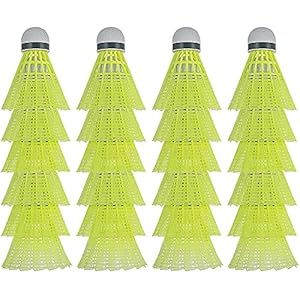 HIRALIY 24 Pack Nylon Badminton Shuttlecocks Birdies, Nylon Feather Shuttlecocks for Badminton with Stable & Durable…