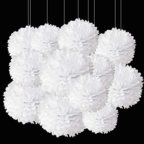 ZooYoo Lot de 12 Pompons en Papier de Soie à Suspendre pour fête décoration, Plafond, Mur, 1 Couleurs de 30,5 cm, 25,4 cm (Blanc