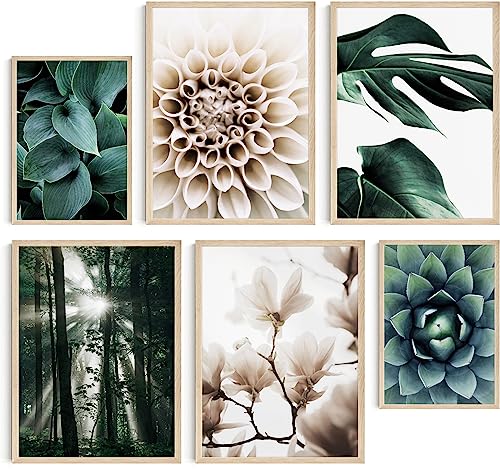Hambient Laminas Decorativas Pared para Cuadros Decoracion Salon Modernos, Dormitorios, Habitacion, Posters SIN Marco (Botanica Plantas Verdes, 4x 30x40 cm, 2x 21x30 cm - Sin Marcos)