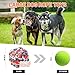 GASAPET Extra großes hundespielzeug Ball Seil für Aggressive Kauer, 5er-Pack langlebige Hundebälle für mittelgroße und große Rassen, Hundeseilspielzeug Baumwolle, Kauspielzeug für Welpen beim Zahnen