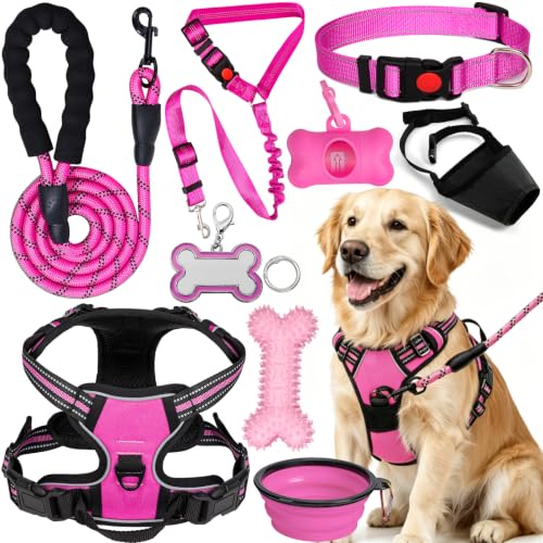 YXFDOYT No-Pull Dog Harness & Leash Set (Pink, Large)